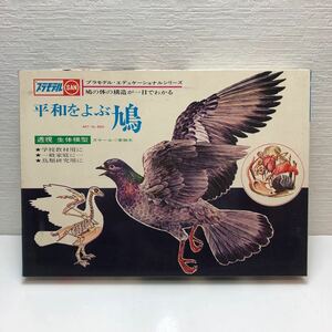 売切！１円スタート！K.K. マルザン マルサン 平和をよぶ鳩 鳩の体の構造が一目でわかる 実物大 透視 生体模型 ① 解剖学 教材 当時物 昭和