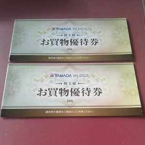 ヤマダ電機 株主優待 お買物優待券 10000円分 500円券×20枚 2024年6月末まで ヤマダホールディングス【普通郵便・送料無料】