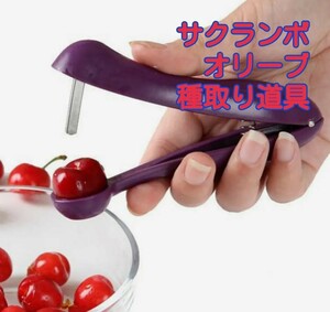 Sakanbo Cherry Cherry Cherry Cherry American Cherry Seed Seed Trieder Type Time Machine Machine Front Tool украшен