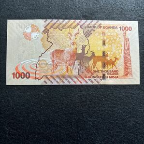 C459.(ウガンダ) 1000シリング★紙幣 2017年 外国紙幣 未使用 P-49の画像2