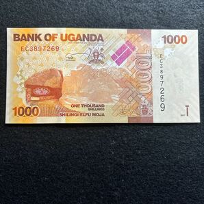 C459.(ウガンダ) 1000シリング★紙幣 2017年 外国紙幣 未使用 P-49の画像1