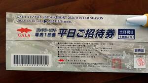 ■送料込み■ＧＡＬＡ湯沢スキー場リフト券（平日）ガーラ湯沢スキー場