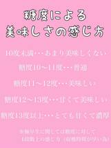 5kg　淡路島産　産地直送　プレミアム　温州みかん　早生みかん　濃厚　訳あり　小玉ちゃん　（2S以下）_画像9