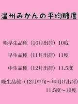 5kg　淡路島産　産地直送　プレミアム　温州みかん　早生みかん　濃厚　訳あり　小玉ちゃん　（2S以下）_画像8