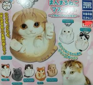 即決　まんまるねこマスコット～人気ねこちゃん大集合～全８種 送料無料