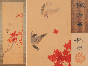 Art hand Auction 【真作】松本楓湖｢紅葉雀図｣軸 掛軸 絹本 共箱 /古画 肉筆 山水 鳥獣 古美術 古書 掛け軸 骨董 書画 絵画 日本画 z6106o, 絵画, 日本画, 花鳥, 鳥獣