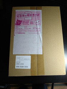 ポケモンカードゲーム　横浜記念デッキ　ピカチュウ　ポケモンセンターオンライン購入品　未開封