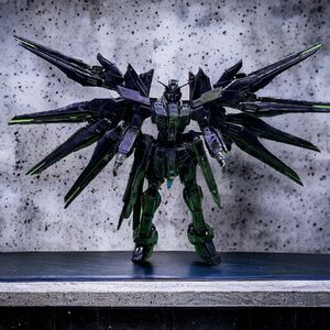 RG 1/144 ストライクフリーダムアイアンブラッドコーティング風塗装完成品！！