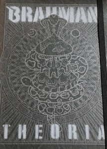 【BRAHMAN/THEORIA】 ブラフマン/OAU/OVERGROUND ACOUSTIC UNDERGROUND/国内2DVD