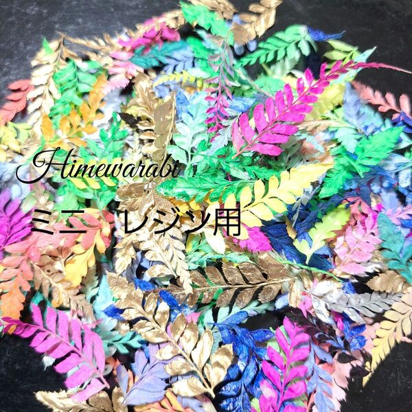 加工花材* アソート ミニ ヒメワラビ プリザーブドフラワー レジン ボールペン 花材