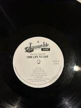 PHYLIS DILLON レコード ONE LIFE TO LIVE LP フィリス・ディロン ロックステディ 藤原ヒロシ HF レゲエ ダブ_画像7