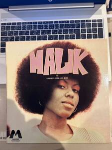 Malik Lafayette Afro Rock Band M 23.11US盤 藤原ヒロシ HF レゲエ ダブ