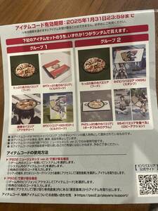 ファンタシースターオンライン2 ニュージェネシス　ビバパエリア VIVA PAELLA コラボ特典 アイテムコード　PSO2 NGS