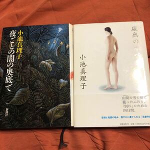 小池真理子著、夜ごとの闇の奥底で、、虚無のオペラ、２冊セット