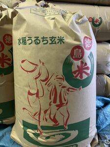 新米R5年徳島県鳴門市産　無農薬栽培　コシヒカリ玄米30kg 送料無料