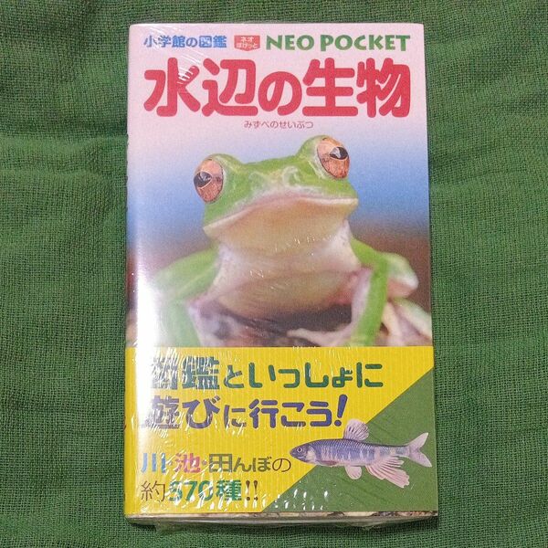 小学館の図鑑　neopocket　水辺の生物