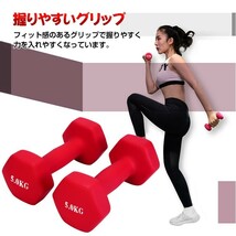 送料無料 ダンベル 5kg 2個セット カラーダンベル トレーニング 筋力 筋肉 男性 女性 鉄アレイ エクササイズ ダイエット 負荷 de094_画像3