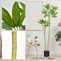 観葉植物 フェイクグリーン 大型 リアル 高さ140cm おしゃれ 鉢付き プレゼント インテリア 人工観葉植物 部屋飾り 造花 お祝い sg019_画像7