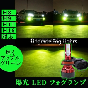 爆光 ライムグリーン アップルグリーン LEDフォグランプ H8 H9 H11 H16 ライム グリーン 12v～24v フォグライト 送料無料 初期保証