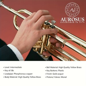 AUROSUS ATR-6331H Bb trumpet | experienced person oriented | high quality brass instruments cloth case attaching 