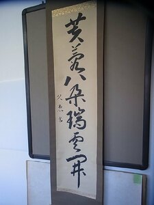 【秀逸】 掛軸 『芙蓉八朶瑞雲？』 在銘 肉筆 書道 和書　高級牙軸 合せ箱付　サイズ/42×185cm