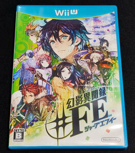 WiiU 幻影異聞録#FE