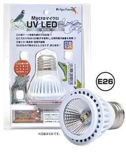 zen acid micro UV LED E26 white exchange lamp postage nationwide equal 520 jpy (3 piece till including in a package possibility )