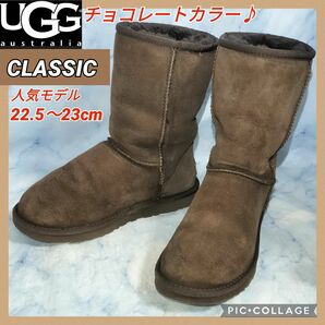 【★送料無料★超人気モデル】アグオーストラリア クラシック チョコレート23cm