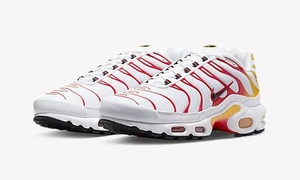 NIKE AIR MAX PLUS SUNBURN 604133-132 エア マックス プラス サンバーン US11