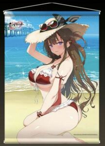 新品 未開封　閃乱カグラ シノビマスター コミケ 限定 B2 シルキースエード タペストリー 鴇 海辺 水着 爆乳祭 C103