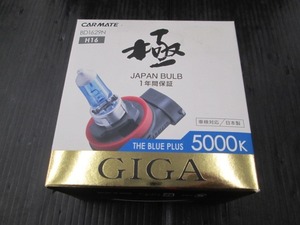 【未使用品】BD1629N カーメイト ザ・ブループラス 5000K H16 GIGA　