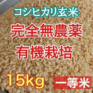 完全無農薬 有機栽培 15キロ 『一等米』令和5年 新米 コシヒカリ玄米 美味しい実家のお米 発芽玄米になります！送料無料！