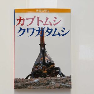 世界の甲虫 カブトムシ クワガタムシ