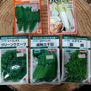 種子 発芽有効期限切 野菜種