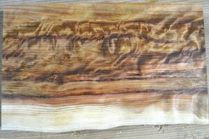 長33*幅19-20*厚1.5　杉5の木材木工材,一枚板送料安DIY花台銘木　杢　プレート　瘤