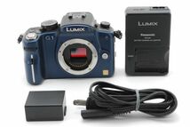 パナソニック ルミックス Panasonic LUMIX DMC-G1 ボディ 《 ショット数 1558回 》　R24012023-240153_画像10