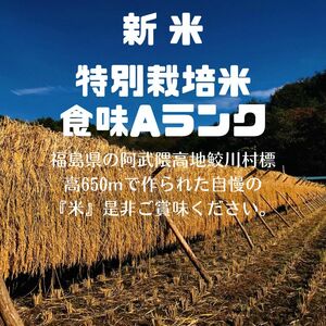 源流米　無農薬　里山のつぶ