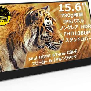 Vissles モバイルモニター 15.6 モバイルディスプレイ IPS 液晶 モニター 非光沢