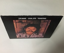 LP［ジェシ・コリン・ヤング Jesse Colin Young／ソング・フォー・ジュリー Song For Juli］国内盤_画像3