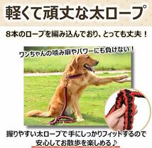 犬リード　大型犬リード　中型犬首輪　中型犬リード　リード首輪セット　ハーフチョーク首輪　カラーB_画像4