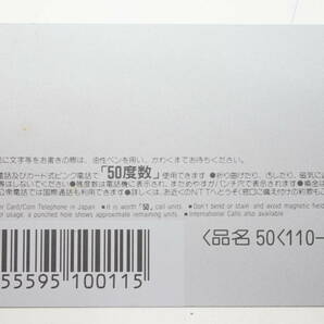 未使用/極美品◇N1耐久ラウンドシリーズ'95 プリンス東京FUJITSUBO GT-R NISSAN 日産 テレカ 50度数 テレホンカード 激レアの画像2