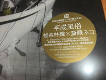 新品 未開封 平成風俗 / 椎名林檎×斎藤ネコ 2007年発売 限定アナログ盤 2LP 定価3900円 カリソメ乙女 DEATH JAZZ ver._画像2