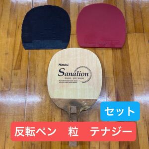 卓球ラケット　反転ペン　Sanalion ラバー　テナジー05 粒ラバー　DAWEI セット