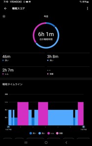 睡眠品質が、確認できGARMIN Lily ベルクロベルト付き