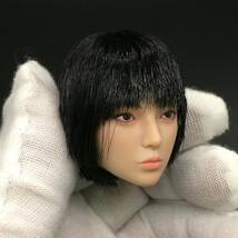 B170 1/6 フィギュア ヘッド　女性ヘッド　植毛タイプ 希少品 12インチドール 美少女 OB/TBLeague/Phicen/Jiaou doll素体対応 白肌_画像2