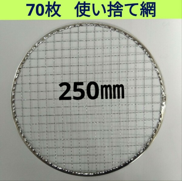 70枚 250㎜ 焼肉 網 プレート 焼き網 平型 焼網 丸網 替え網