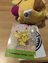 ポケモンセンター タイベイ　台湾限定　台北のピカチュウ　ぬいぐるみ_画像2