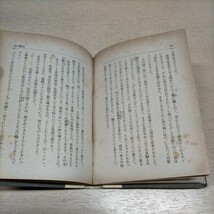 【初版本】長田幹彦 秋の歌 春陽堂 大正6年 初版 新興文藝叢書3◇古本/ヤケシミスレ傷み多/現状渡し/写真でご確認下さい/NCNR_画像10