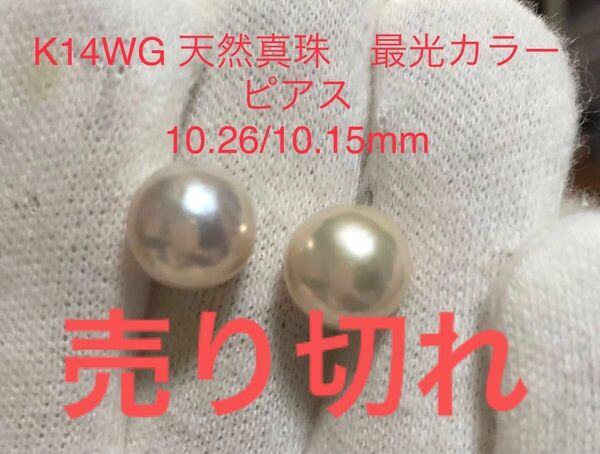 K14WG 天然真珠　最光カラーピアス　10.26/10.15mm