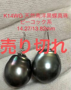 K14WG 天然南洋黒蝶真珠　ピーコック系スイングピアス　14.27/13.82mm